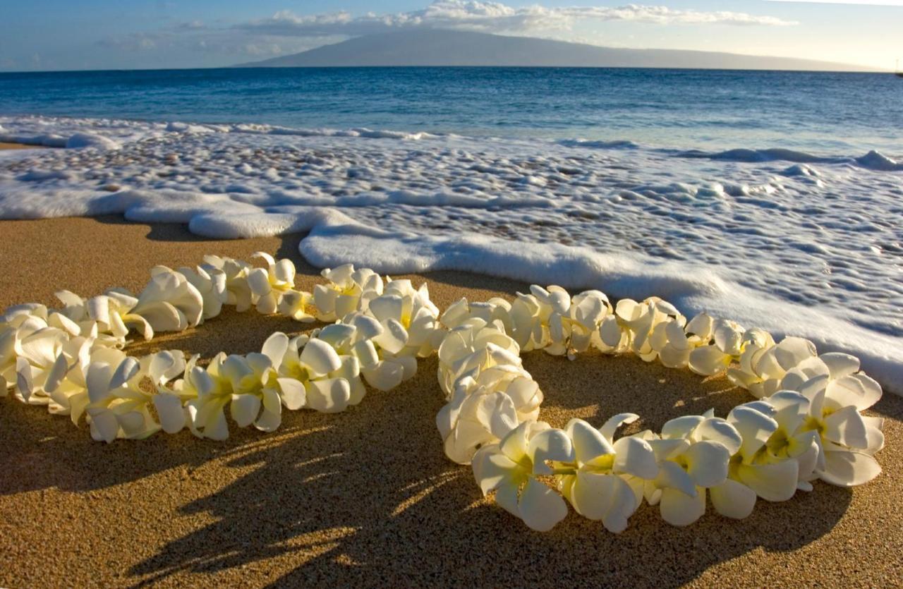 Steps To Waikiki Beach! Newly Renovated With 75" Tv Honolulu Buitenkant foto